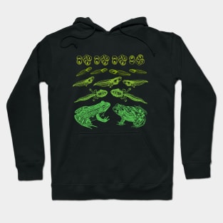 Leap of Life: Vintage Science Illustration of Frog Tadpole Life Cycle - An Educational Treat for Biology Teachers Hoodie